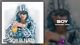 Soy Music Video