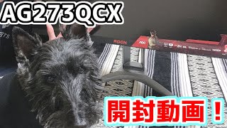 【レビュー動画】AOCさんから届いたお年玉開封したよ！【AG273QCX】