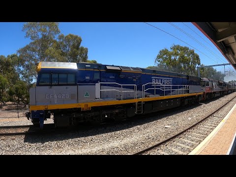 #4PM9 CF4428 SCT015 CSR007 CF4429