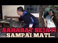 PERSAHABATAN MANUSIA DAN BIAWAK