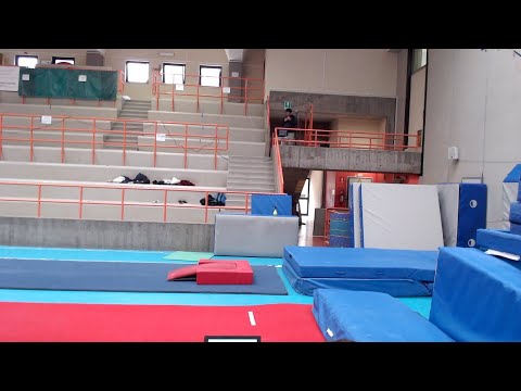 Campionato FGI Silver Serie D - ZT4 - Equilibrea_volteggio