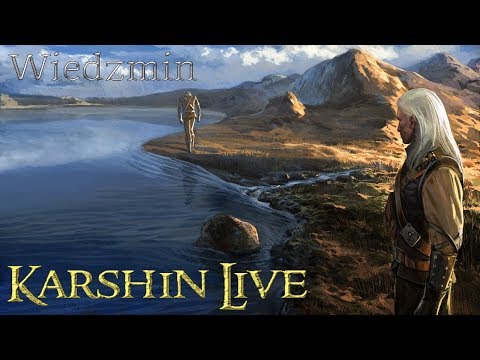 Wiedźmin... przebłyski i przemyślenia Geralta