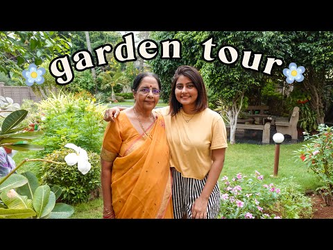 MY HOME GARDEN TOUR 🌿 our houseplant collection | Kritika Goel