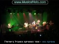 עמית ארז Amit Erez   Animal Heart