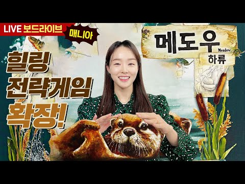 [보드라이브] 메도우: 하류 생방송 플레이