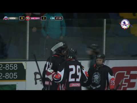 10.02.2017 19.00 STS UKS Niedzwiadki MOSiR Sanok : HK „Halické Levy“