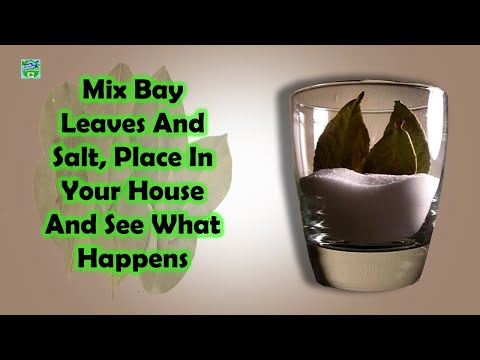 Mix Bay Leaves And Salt, Place In Your House And See What Happens