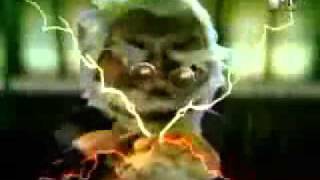 Molotov   El Carnal de las Estrellas