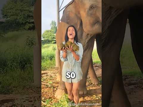 How $10,000 Coffee Is Made 🤯