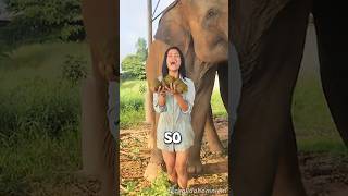 How $10,000 Coffee Is Made 🤯