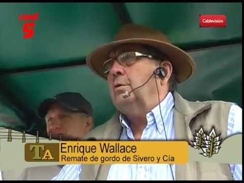 REMATE DE GORDO DE LA FIRMA SIVERO