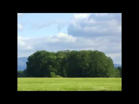 Auf der Gwahn der kloane Hahn - Goiserer Viergesang
