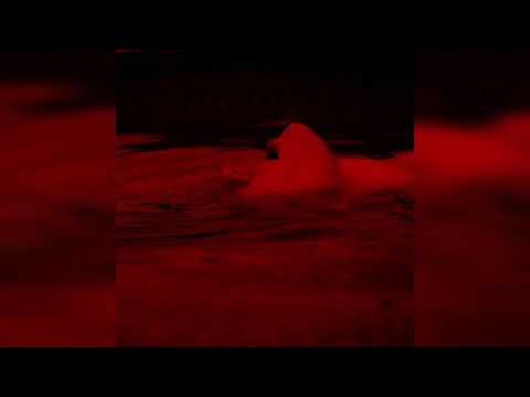 VSN7 - Missing (†777† Slowed Mix)