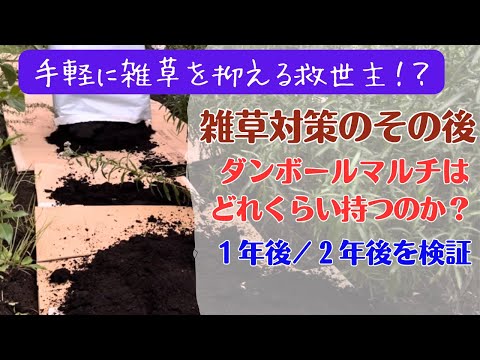 なぜ果樹の周りに段ボールを置くのでしょうか？  庭園