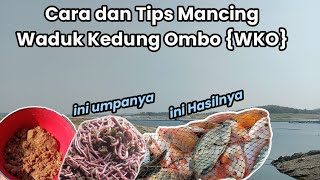 Download lagu CARA DAN TIPS MANCING DI SPOT WADUK KEDUNG OMBO {WKO} TERBARU.🎣❗ mp3