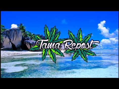 SNOOP SVG x CLAUDIA Ft. ASU SI TICY - ZALELE (REMIX 2023)