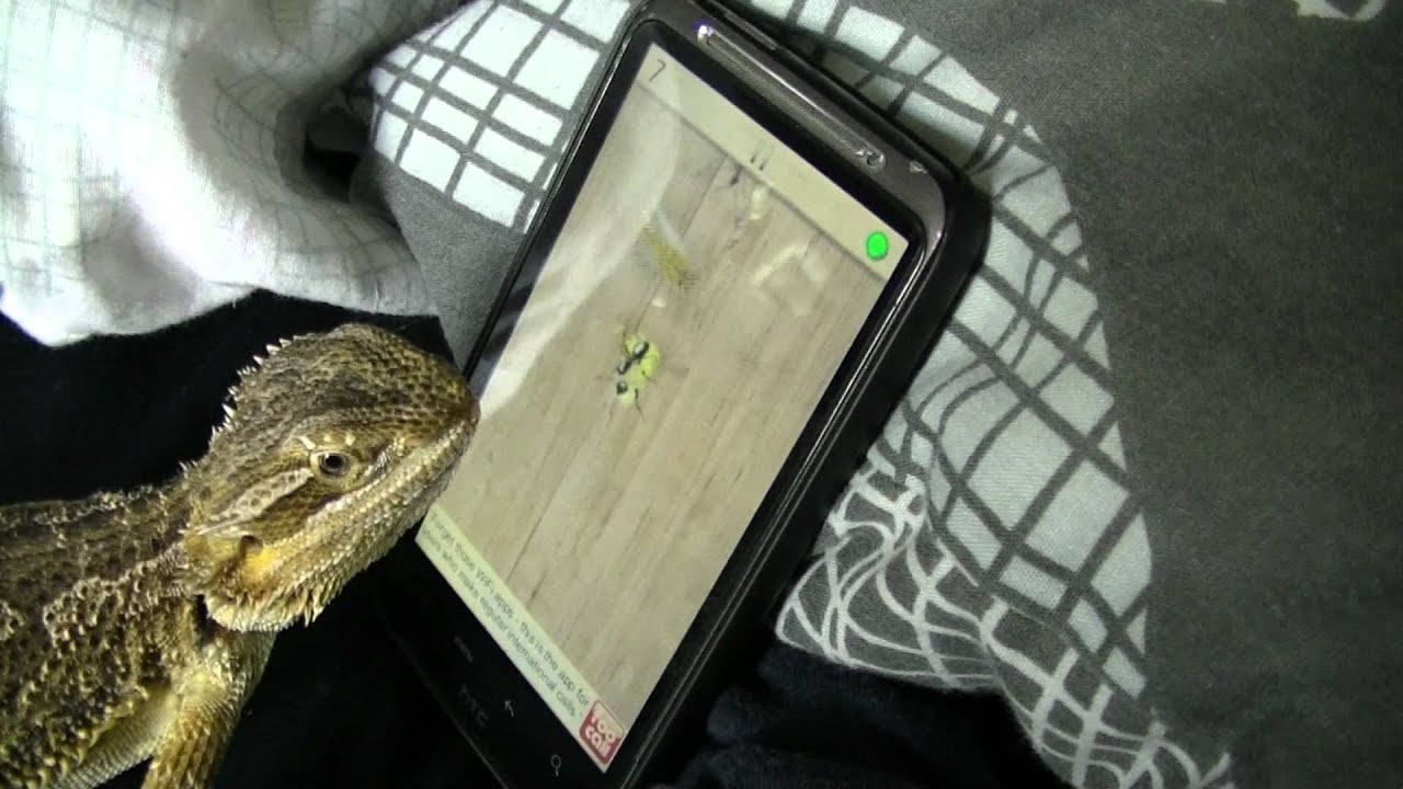 Watch This Lizard Kick Ass At A Video Game With His Tongue