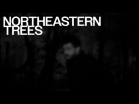 NORTHEASTERN TREES