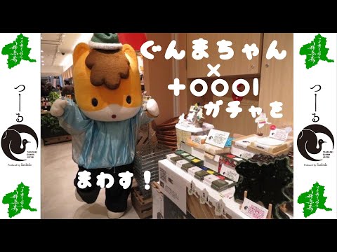 国際学科 ぐんまちゃんがガチャを回してみた【toool つーーーるガチャ】