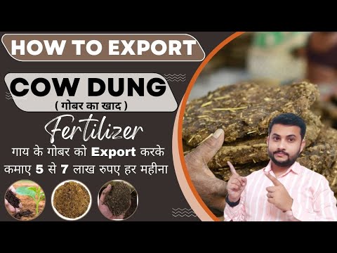 How To Export Cow Dung From India #cowdung #export #exportimportbusinessinindia