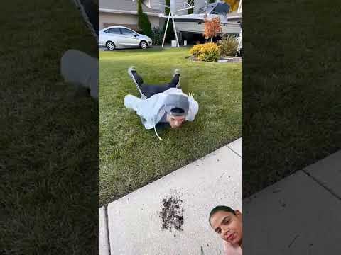 Home work 😃😃😄😄😃 #funny #comedy #prank #family #bungee #dog