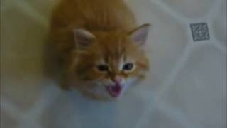 2006 found footage of our baby boy Nigel