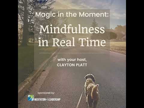 The Peaceful Warrior: Mindfulness and the Journey Beyond Squash with Todd Harrity