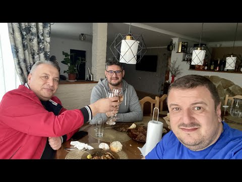 STB IN VIZITA LA DANIEL CHITULESCU - COLT DE RAI