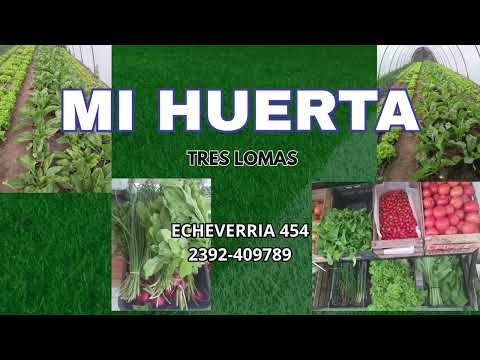 18-05-2025 FUTBOL DE LA LIGA A. QUENUMA   -  J. NEWBERY