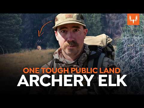 Public Land Elk Hunting with Ryan Callaghan | Cal In the Field