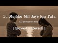 Tu Mujhko Mil Jaye Kya Pata Slowed Reverb Arijit Singh Lofi Songs Sad Slow Reverb Lily S Lofi