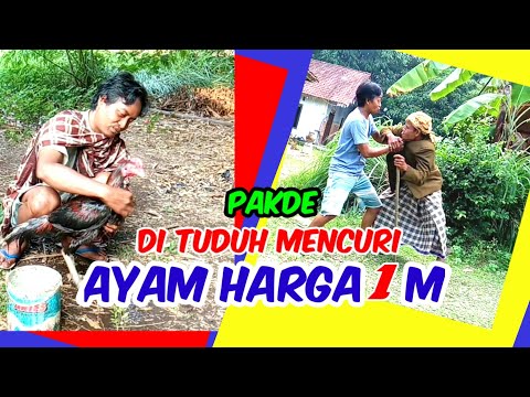 video-lucu-viral-hiburan-warga-62-bikin-ngakak-funny-videos-1