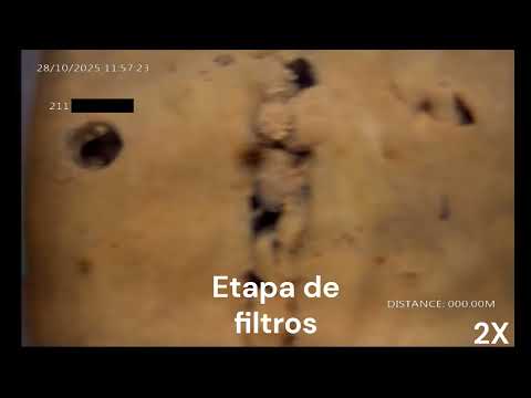 Extracto 211 - Caucete - San Juan