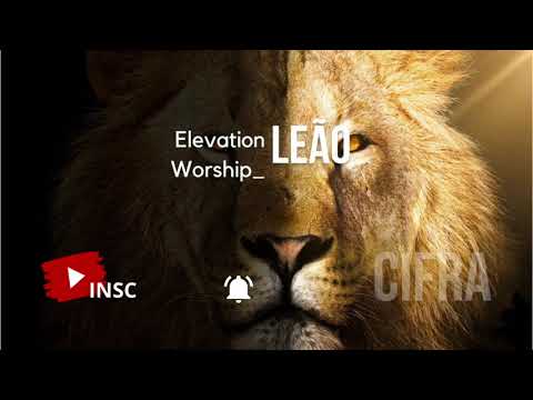 Lion Lamb - Low