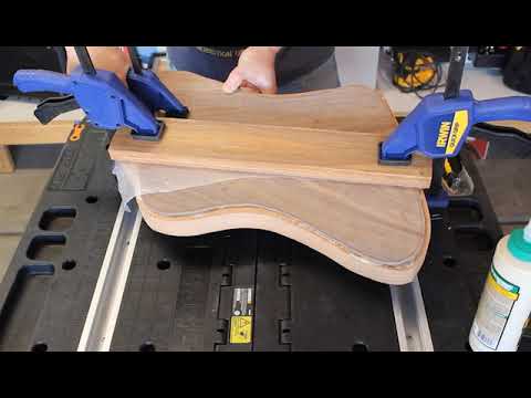 Great Guitar Build Off 2022 - Elysium Firehawk - Body and Neck Blank