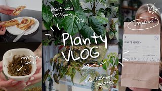 Propagations, seeds and rearranging my plant wall!