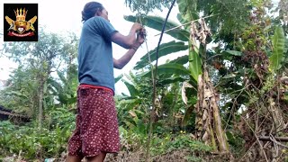 Download lagu MENCOBA MIKAT BURUNG MENGGUNAKAN SUARA PIKAT PRENJAK CRECET. APAKAH BISA ???? mp3
