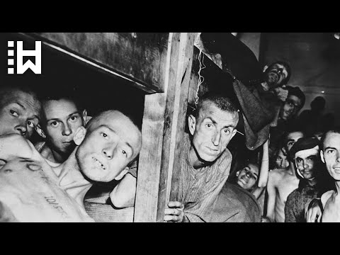 Das Massaker von Mauthausen – Rücksichtslose Hinrichtung von SS-Wachen nach der Befreiung des Lagers