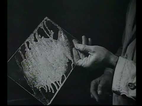 Vom Halm zum Glas – Wie unser Bier gebraut wird