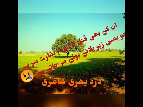 urdu poetry|sad poetry|ghazal|bazm-e-andaaz|hindi shayari|best poetry ever|Abbas Tabish