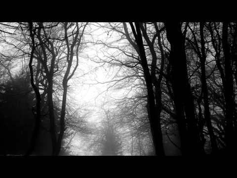 Forest of Shadows - The Silent Cry