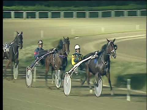 Trotto 03/11/2017 - 7ª corsa