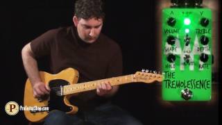 Video thumbnail for Dr. Scientist Tremolessence by ProGuitarShopDemos
