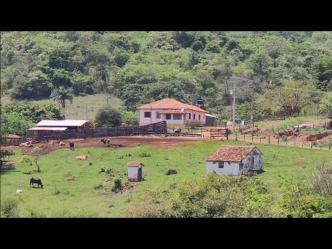 Subimos e descemos serra até Palmeiral Minas Gerais 
