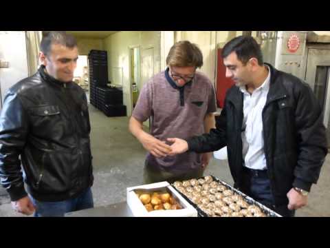 Sladkoff Bakery Visit - Armenia