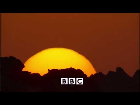 Prehistoric Planet (WWD Intro)