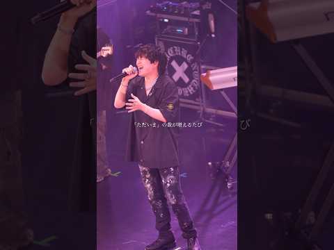 「アイビー」 at Zepp DiverCity(TOKYO) #novelbright #アイビー #wedding