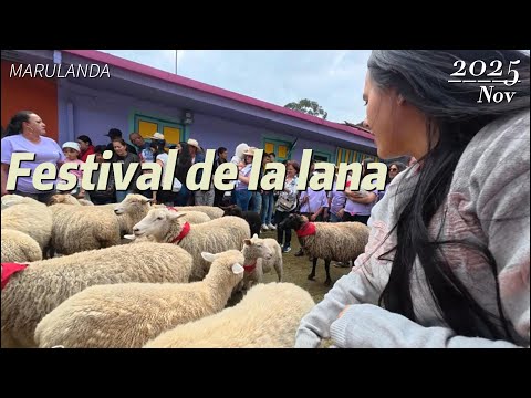 Ovejas, lana y tradición en Marulanda | caldas | Colombia