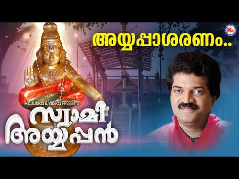 അയ്യപ്പാ ശരണം | ayyappa devotional song malayalam | hindu devotional | mg sreekumar |