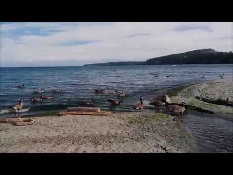 CORDOVA BAY BEACH SAANICH VICTORIA VIDEO BY DEEPAK KOLKI - Summer 2016